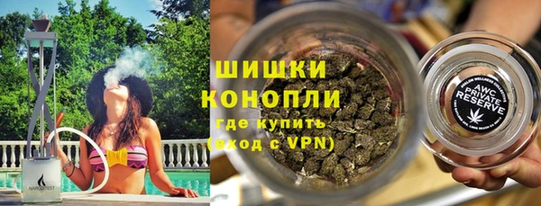 гидра Белокуриха
