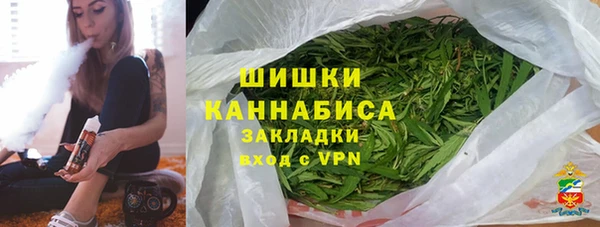 гидра Белокуриха