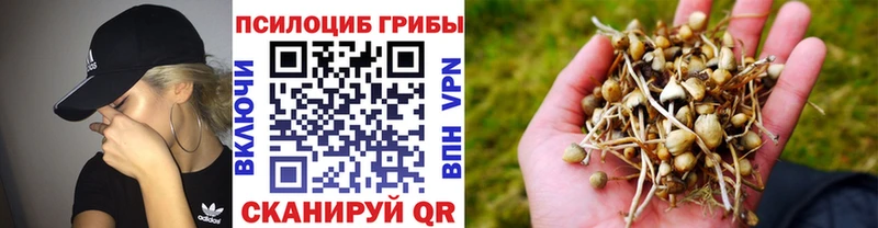 Галлюциногенные грибы MAGIC MUSHROOMS  наркотики  Сольцы 